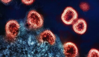 Measure bolstering city’s STI, HIV, AIDS response approved on second reading