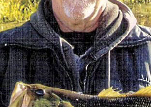 David J. Howells – Scranton Times-Tribune
