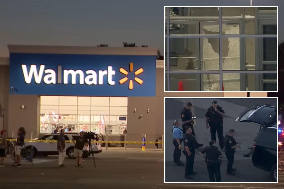 Pennsylvania police hunt gunman after Walmart employee shot during dispute