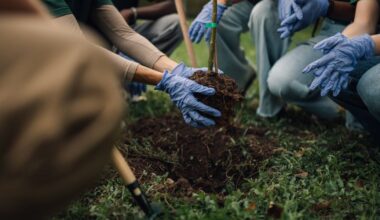 Tips for preparing your trees for cooler weather in the fall