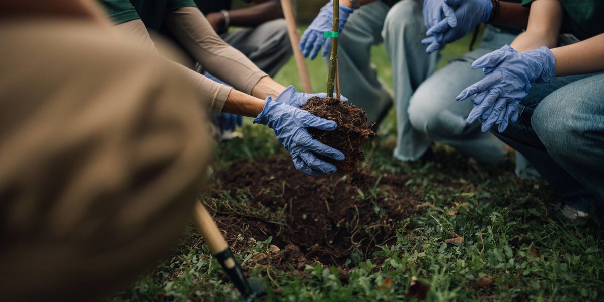Tips for preparing your trees for cooler weather in the fall