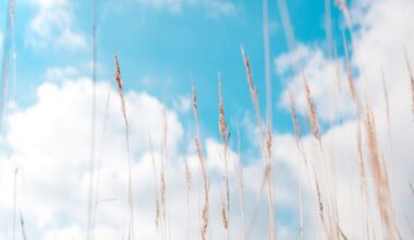 FORECAST: Gorgeous start to the week
