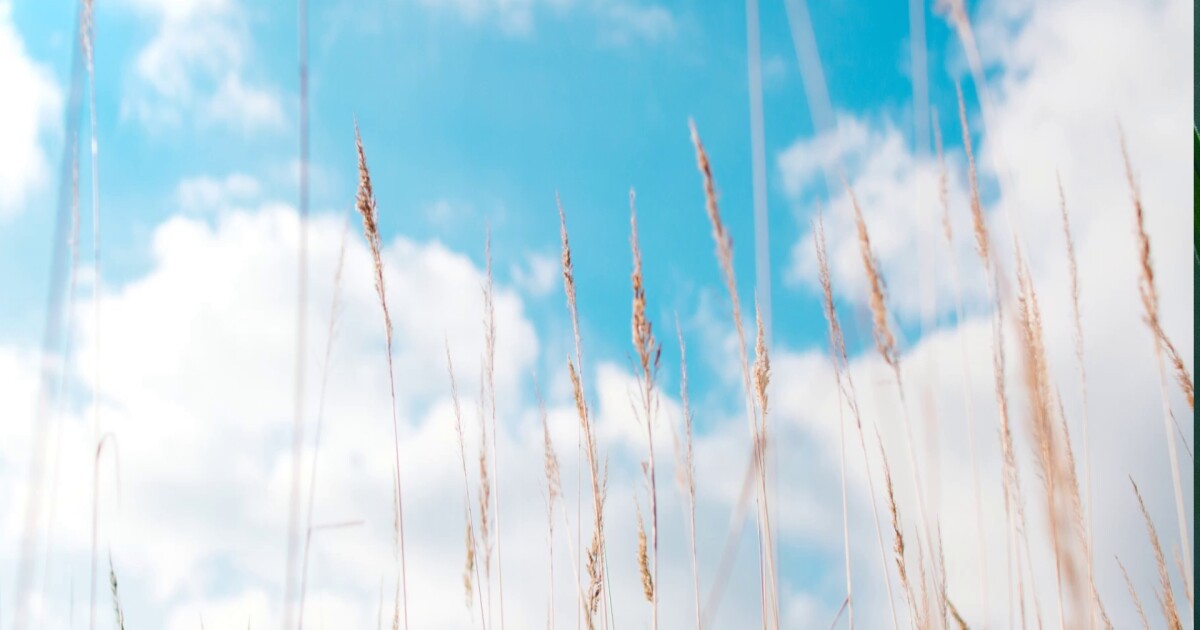 FORECAST: Gorgeous start to the week