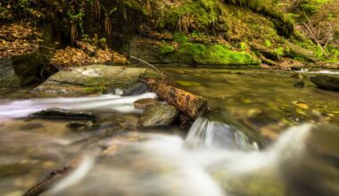 New Data Measures Bacteria in Pennsylvania Waterways