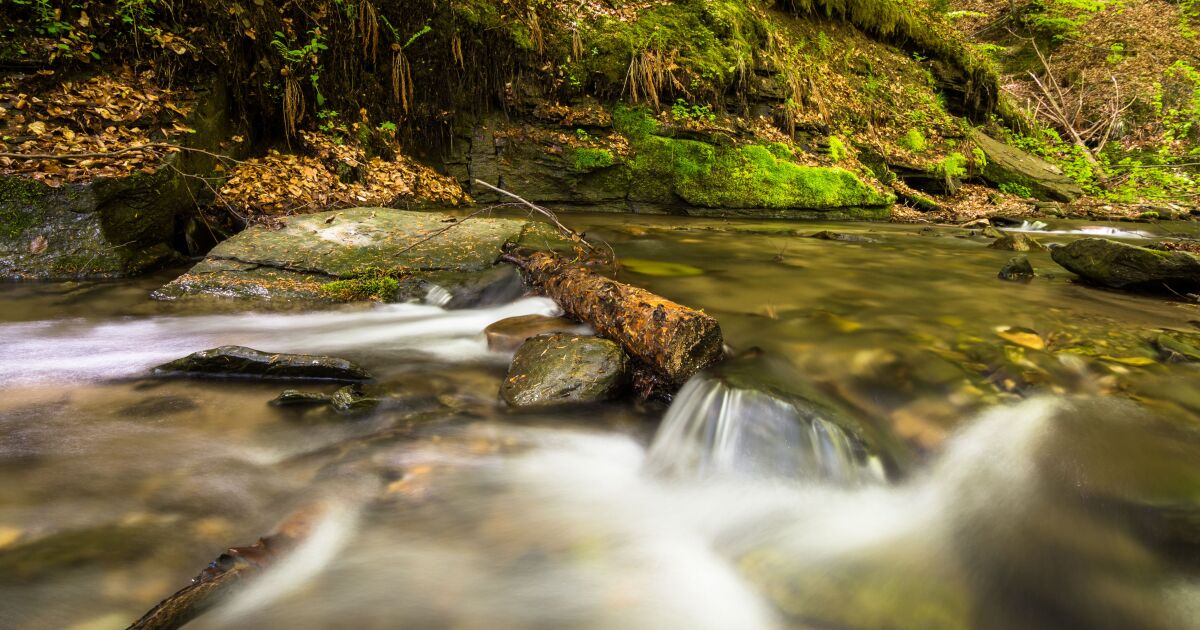 New Data Measures Bacteria in Pennsylvania Waterways