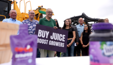 Lawmakers seek buyout for WNY grape growers stranded by contract cancellations