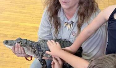 Coplay Public Library sponsors reptile program at borough hall – Lehigh Valley Press