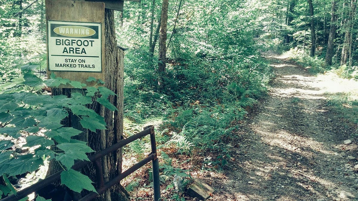 Warning sign on tree beside a dirt road with a gate in Vermont.