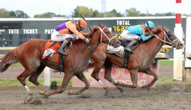 The Puma Wins Pennsylvania Derby, Bodacious Bay Takes Cotillion