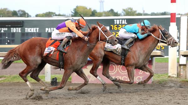 The Puma Wins Pennsylvania Derby, Bodacious Bay Takes Cotillion