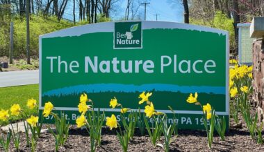 Berks Nature awarded $190,000 for stream, water quality projects