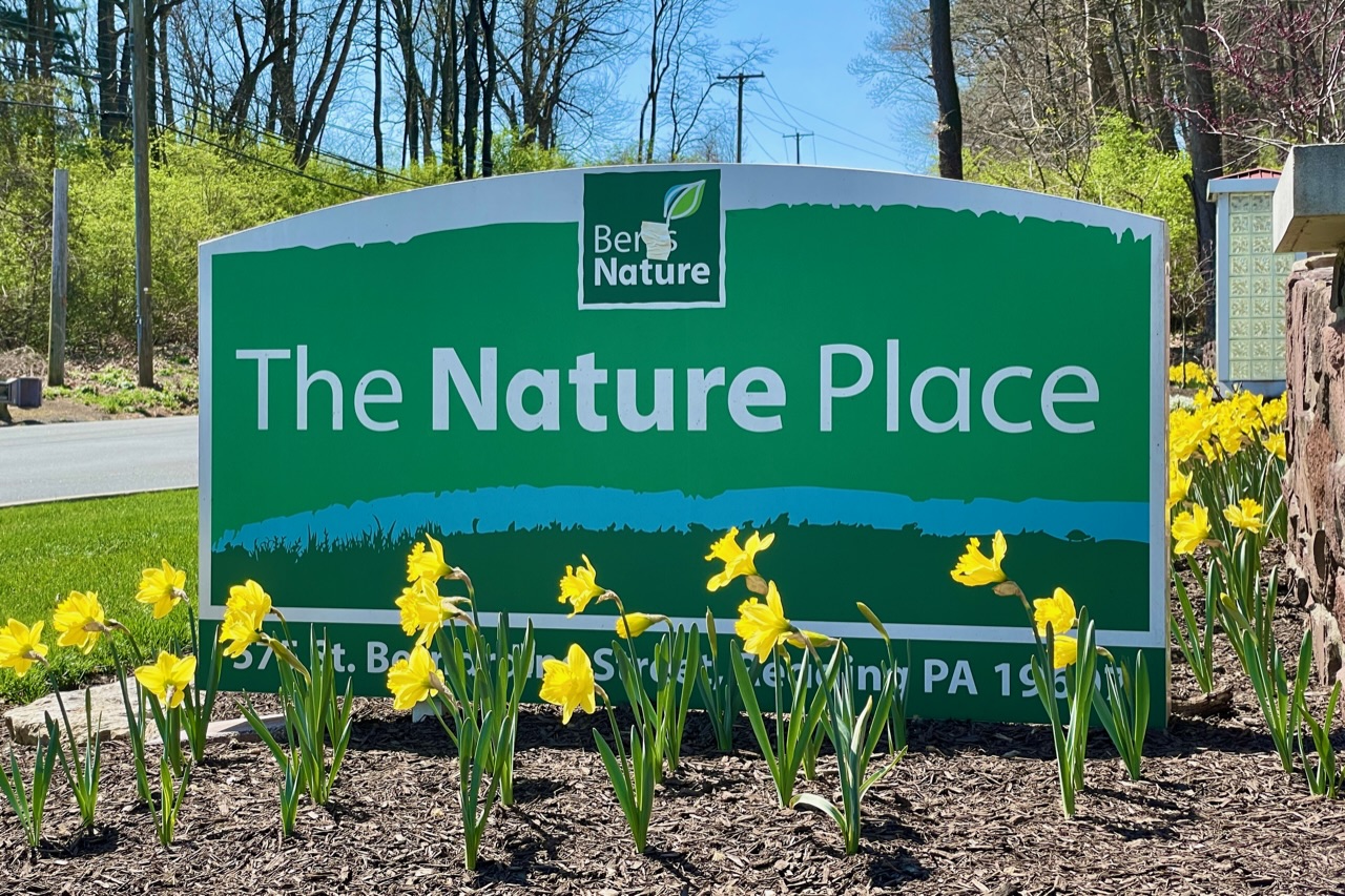 Berks Nature awarded $190,000 for stream, water quality projects
