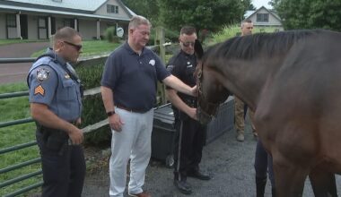 How this Pennsylvania foundation is helping first responders through equine therapy