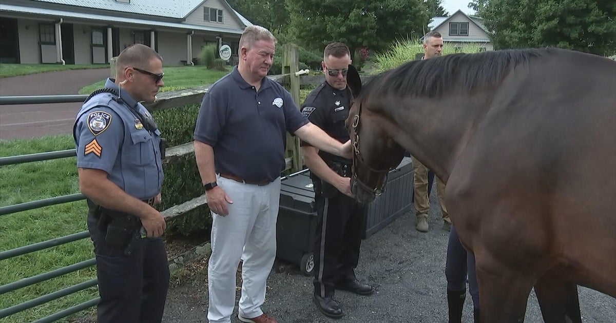 How this Pennsylvania foundation is helping first responders through equine therapy