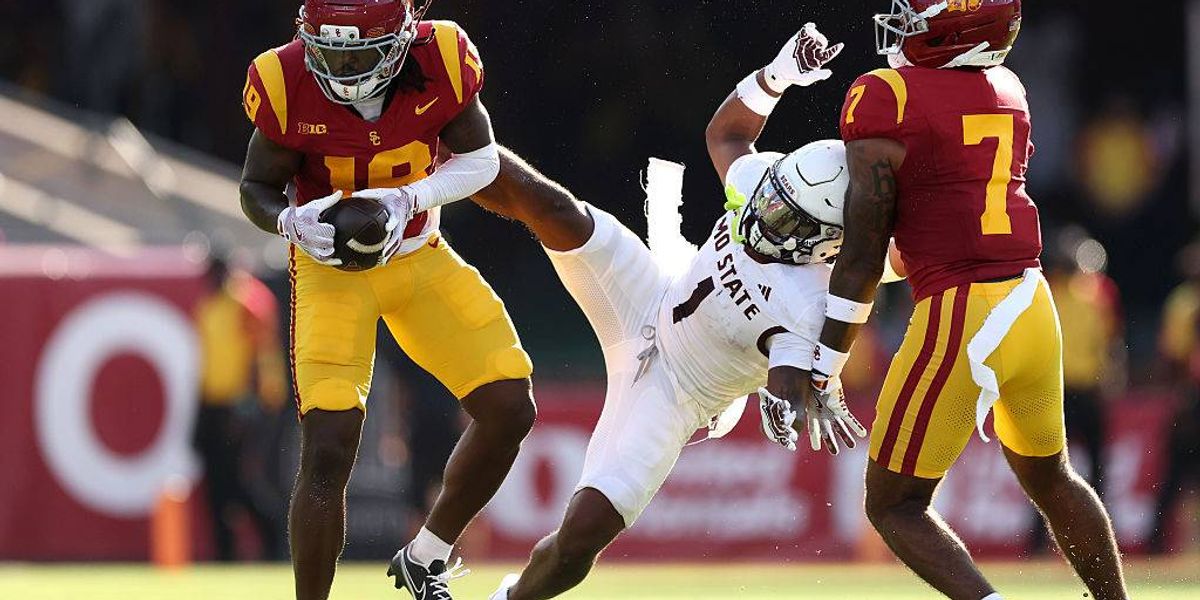 Steelers sign former NC State/USC safety