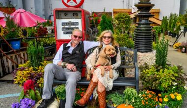 Weil's Doghouse Antiques in the Parkway Shopping Center photos