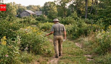 A Pennsylvania entomologist stripped alien plants from his abandoned 10-acre farm; 15 years later, 1,000 caterpillar species fed 50 breeding bird species |
