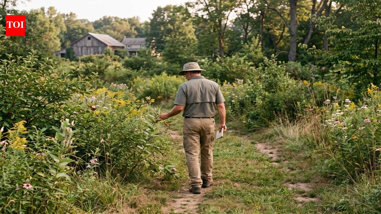 A Pennsylvania entomologist stripped alien plants from his abandoned 10-acre farm; 15 years later, 1,000 caterpillar species fed 50 breeding bird species |