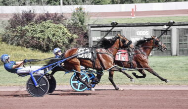 Shalom Hanover