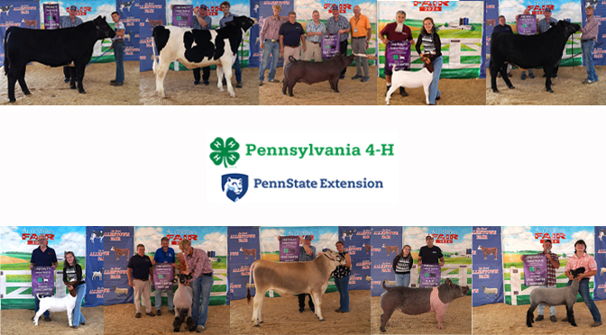 Lehigh County 4-H Members Shine at the Great Allentown Fair