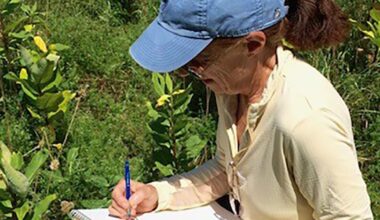 Bethlehem Land Trust Offers Afternoon of Fun and Learning September 27 | Community Events