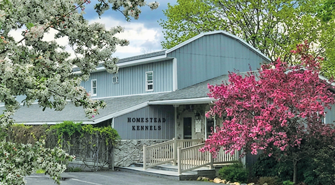 The Center for Animal Health & Welfare to hold Grand Reopening at new subsidiary Homestead Kennels & Cattery