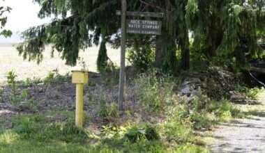 Rock Spring pitches co-op instead of PA American sale • Spotlight PA