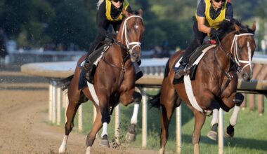 Weekend GamePlan for Sept. 19, 2026: Picks for Pennsylvania Derby, Cotillion, Dogwood