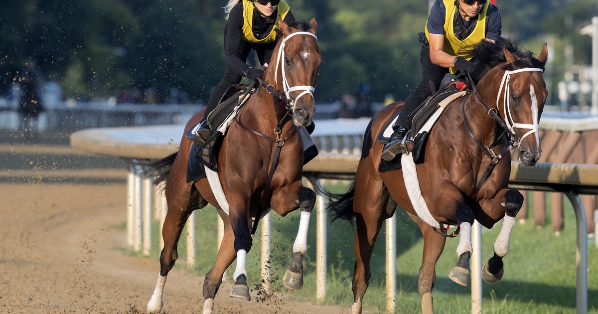 Weekend GamePlan for Sept. 19, 2026: Picks for Pennsylvania Derby, Cotillion, Dogwood