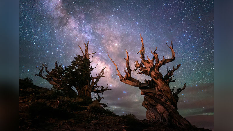 The Lights Above: The Astro-Photography of Sean Parker | Scranton, PA