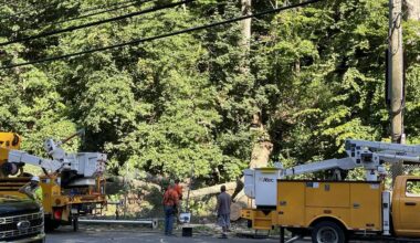 2 injured after massive tree falls onto Bala Cynwyd intersection