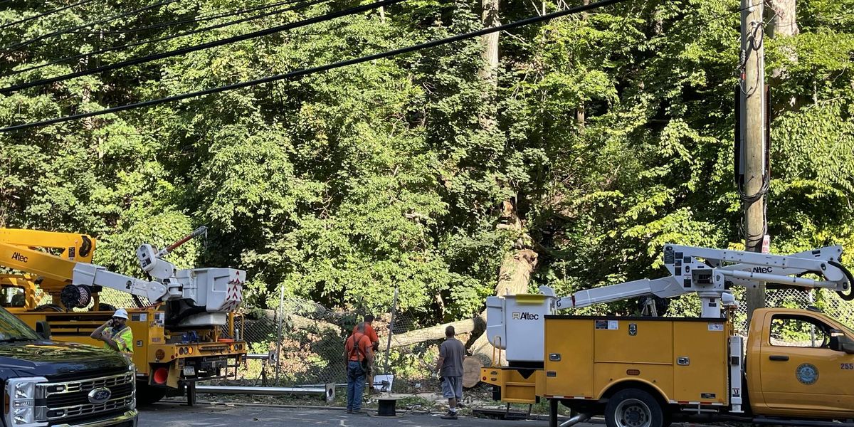 2 injured after massive tree falls onto Bala Cynwyd intersection