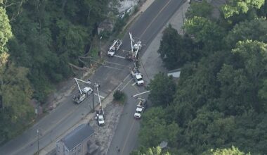 Tree falls on cars in Bala Cynwyd; 1 critical, Belmont Ave. closed