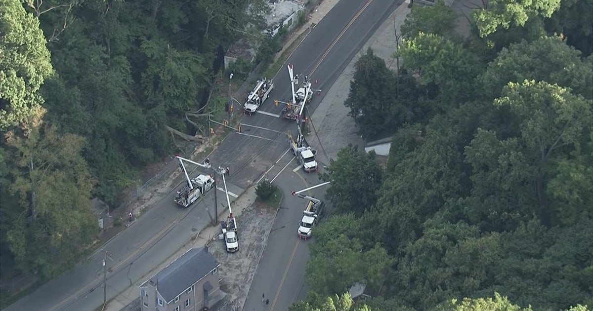Tree falls on cars in Bala Cynwyd; 1 critical, Belmont Ave. closed