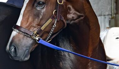 Pennsylvania Derby: Our Moneyman looks to parlay cleaner trip into upset