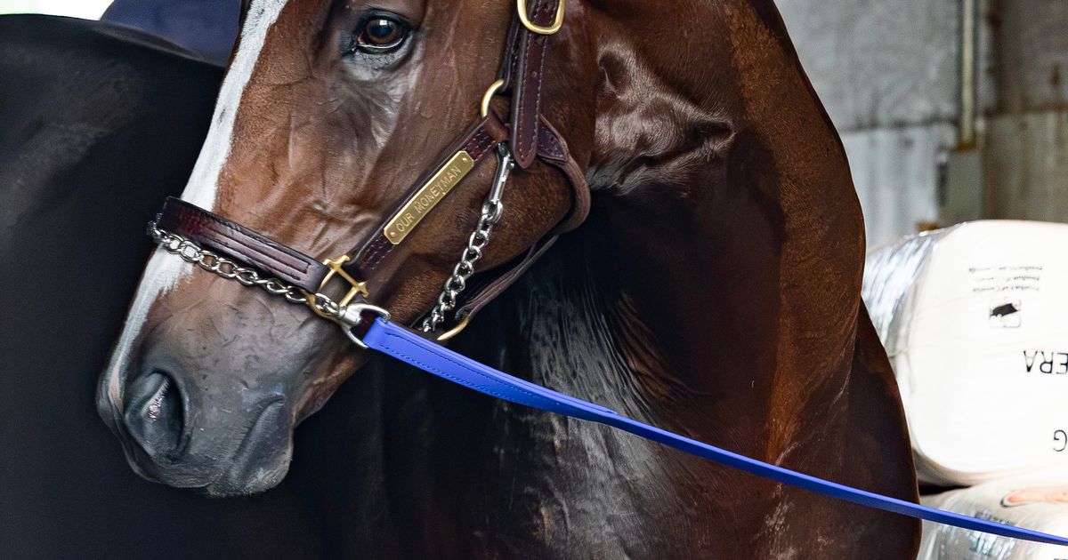 Pennsylvania Derby: Our Moneyman looks to parlay cleaner trip into upset