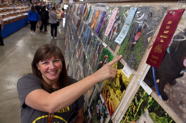 Jen Readinger of Alsace Township points to her photo of her dog Jovie that won an award in the domestic animal category of the photography exhibit at the Oley Fair on Saturday, Sept. 19, 2026, at the Oley Fire Company Fairgrounds. (BILL UHRICH/READING EAGLE)