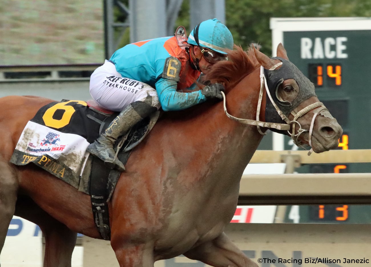 The Puma scores in Pennsylvania Derby * The Racing Biz