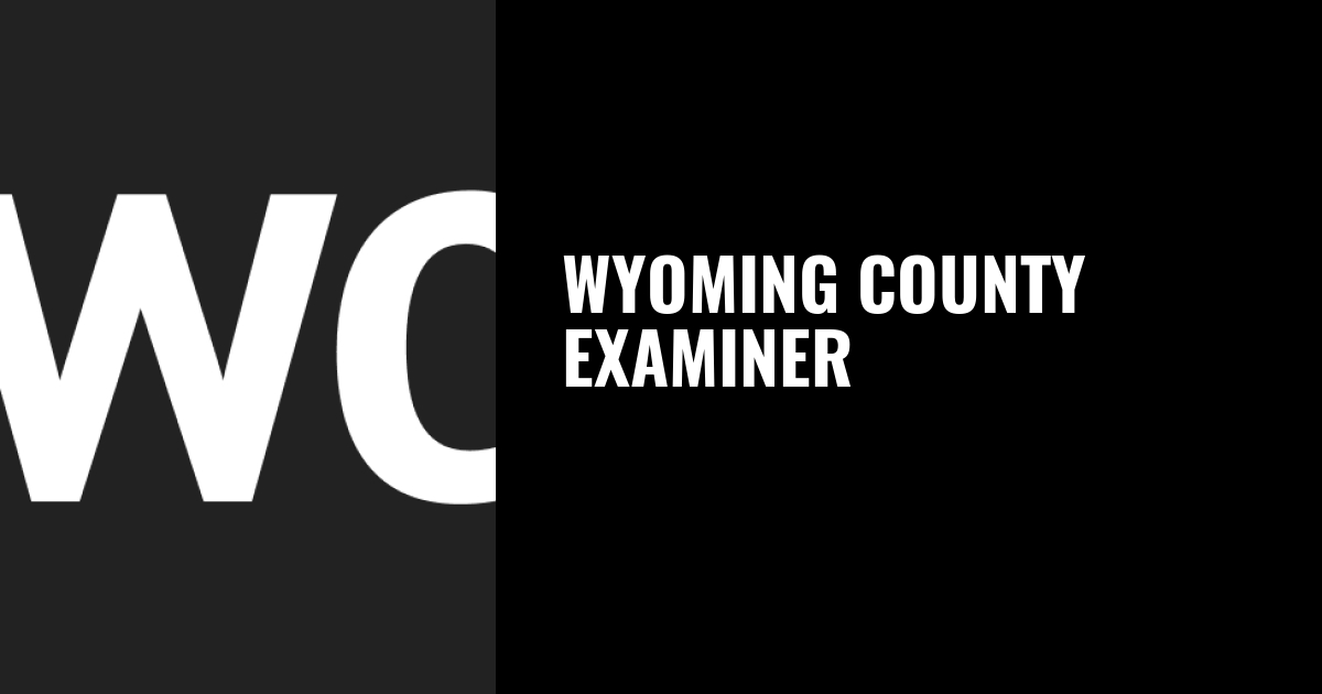 Bucks top Lions in golf match – Wyoming County Examiner