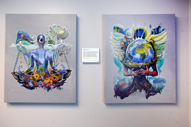 Works by Reading artist Theron Cook depict the wellness journey in the waiting room at Betterview Community Mental Wellness, 716 N. Park Road, Wyomissing. (BILL UHRICH/MEDIANEWS GROUP)