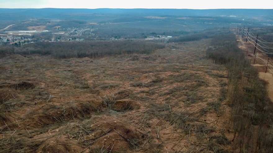 The area along Business Route 6 in Archbald where Archbald 25 Developer LLC plans to build the Project Gravity data center campus.