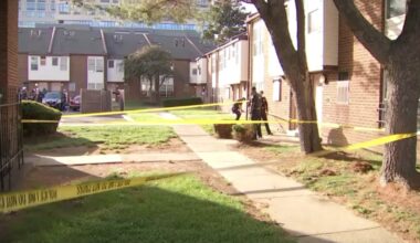 20-year-old shot in broad daylight in North Philadelphia, police say – NBC10 Philadelphia