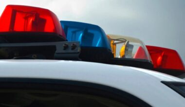 Man, 78, dies after tree limb falls on him outside Lehigh County home