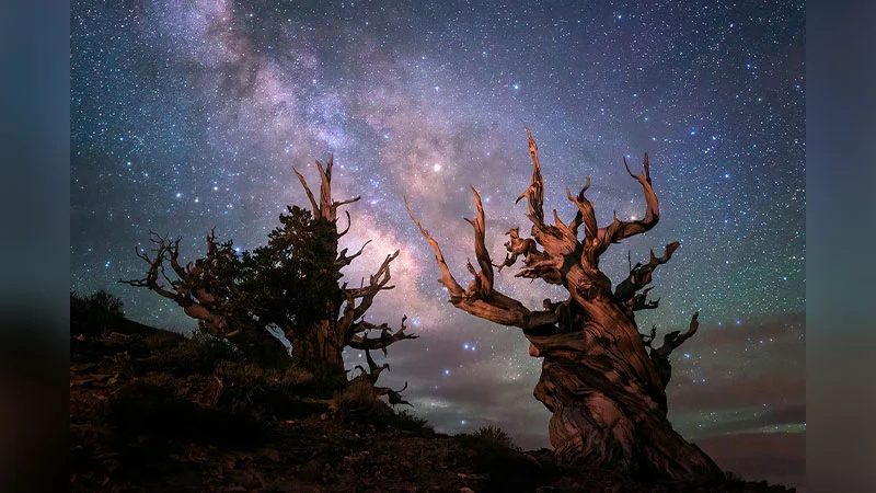 The Lights Above: The Astro-Photography of Sean Parker | Scranton, PA