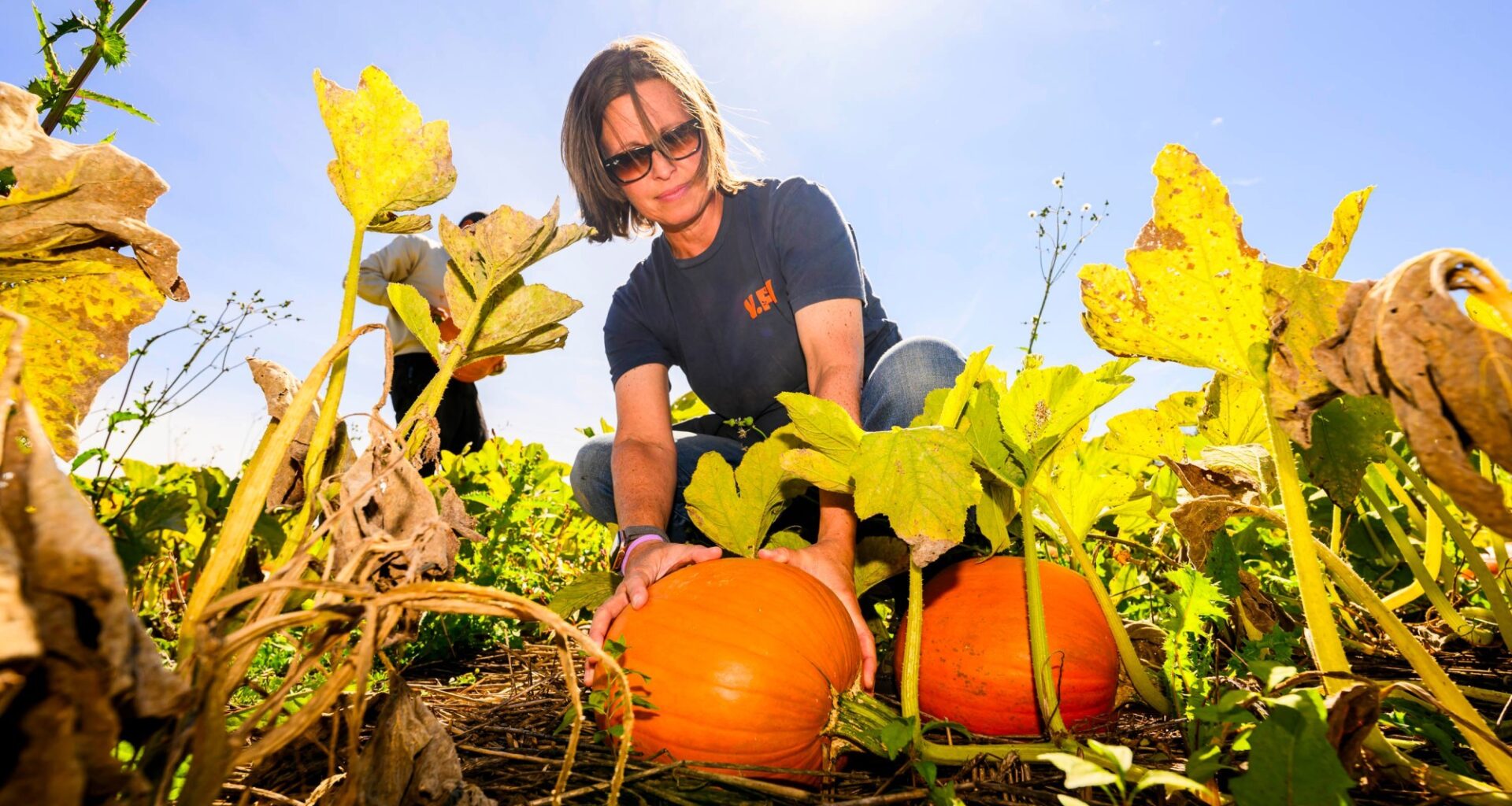 Pumpkin Season at Valley Fruits & Veggies