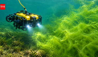 In 2021, NOAA sent a robot lab beneath Lake Erie’s toxic algae and got instant water-safety readings that matched 12 manual tests |