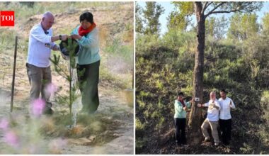 In 1999, Pennsylvania teacher Ronald Sakolsky donated $5,000 to farmer Yin Yuzhen to fund her tree-planting efforts in Inner Mongolia; 27 years later, his contribution helped transform China’s Maowusu Desert into a forest of 50,000 trees