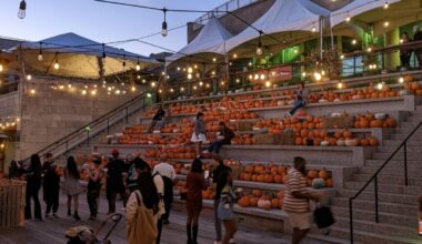 Cityside Pumpkin Patch returns to Philadelphia for fall fun – NBC10 Philadelphia