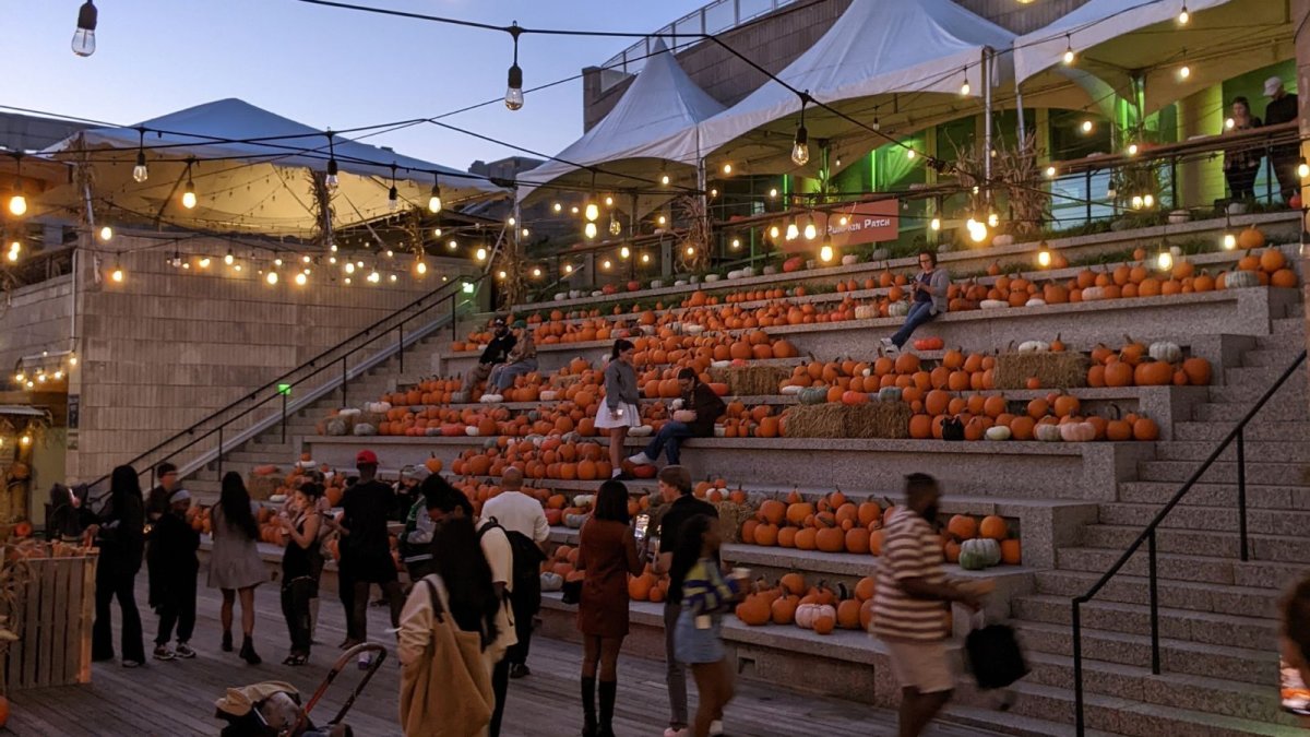 Cityside Pumpkin Patch returns to Philadelphia for fall fun – NBC10 Philadelphia