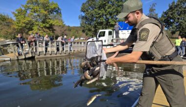 Pa. Fish and Boat Commission to stock 114,700 trout for fall, winter